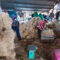 Máy tách xơ, chỉ dừa 