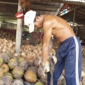 Tách vỏ dừa 