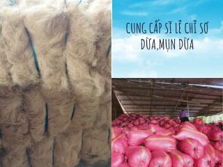 Cung cấp sỉ lẻ chỉ xơ dừa, mụn dừa