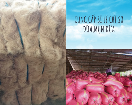 Cung cấp sỉ lẻ chỉ xơ dừa, mụn dừa