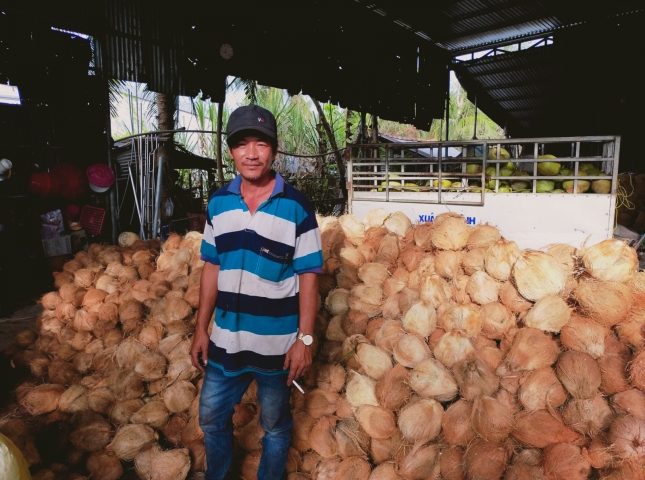 xơ dừa huệ cuộc