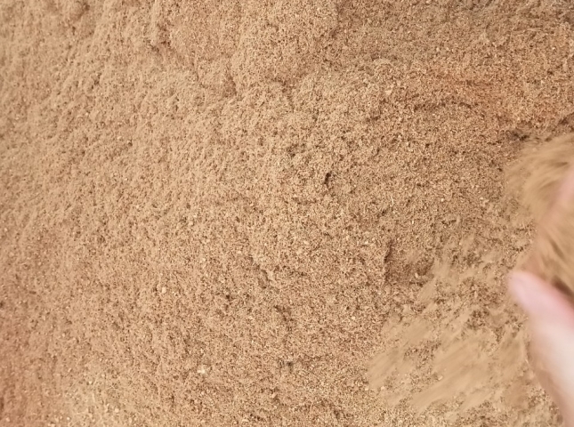 hình ảnh mụn dừa 