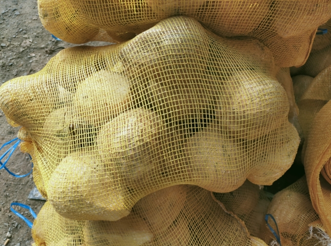 dừa vô bao