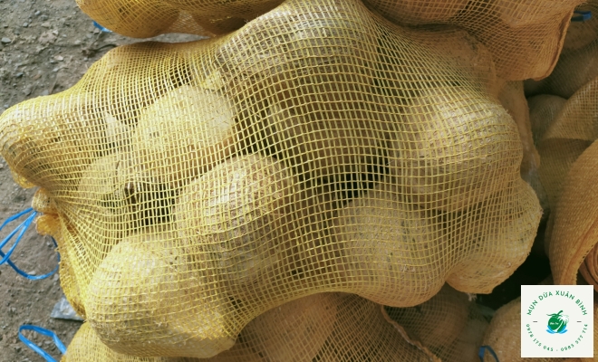 Dừa khô bóc vổ 