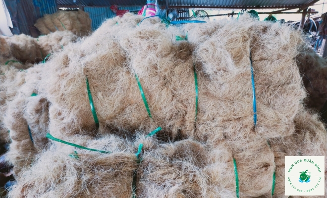 Chỉ Xơ Dừa 