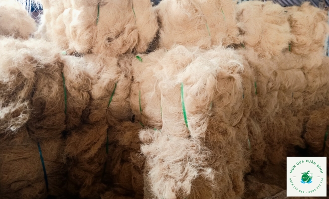 Chỉ Xơ Dừa 