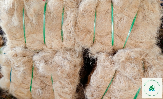 Chỉ Xơ Dừa 